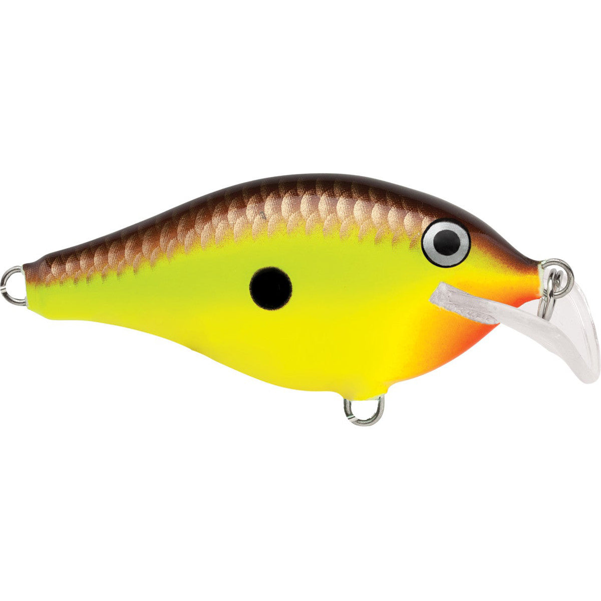 Fishing lure with a gradient color pattern on a white background