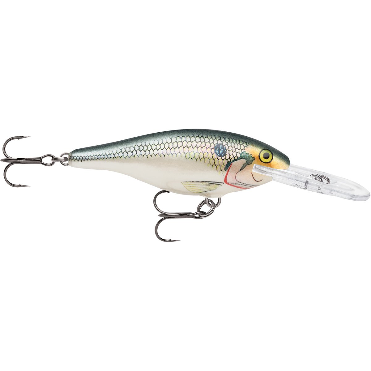 Rapala Shad Rap 04 Fishing Lure - Shad - Forza Sports