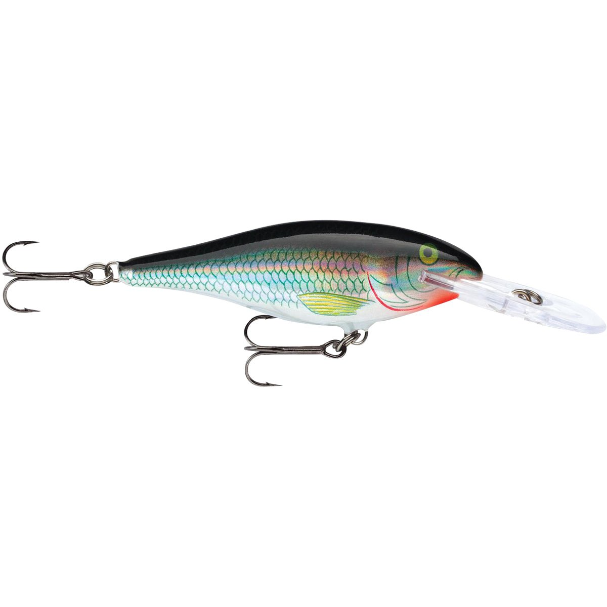 Rapala Shad Rap 08 Fishing Lure - Forza Sports