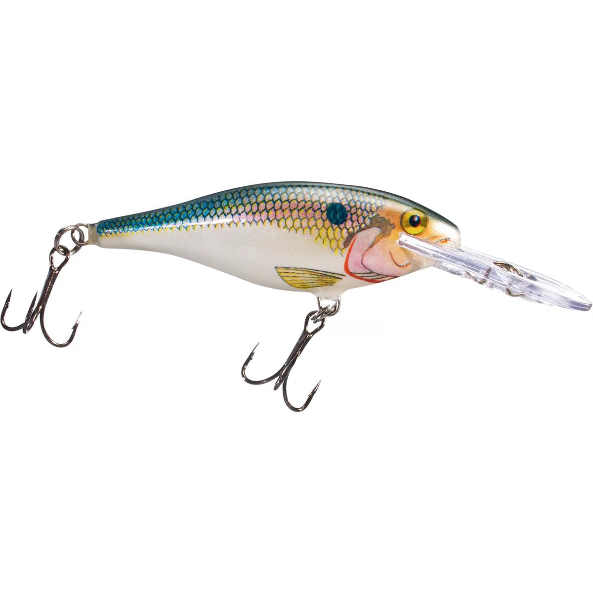 Rapala Shad Rap 09 Fishing Lure - Forza Sports