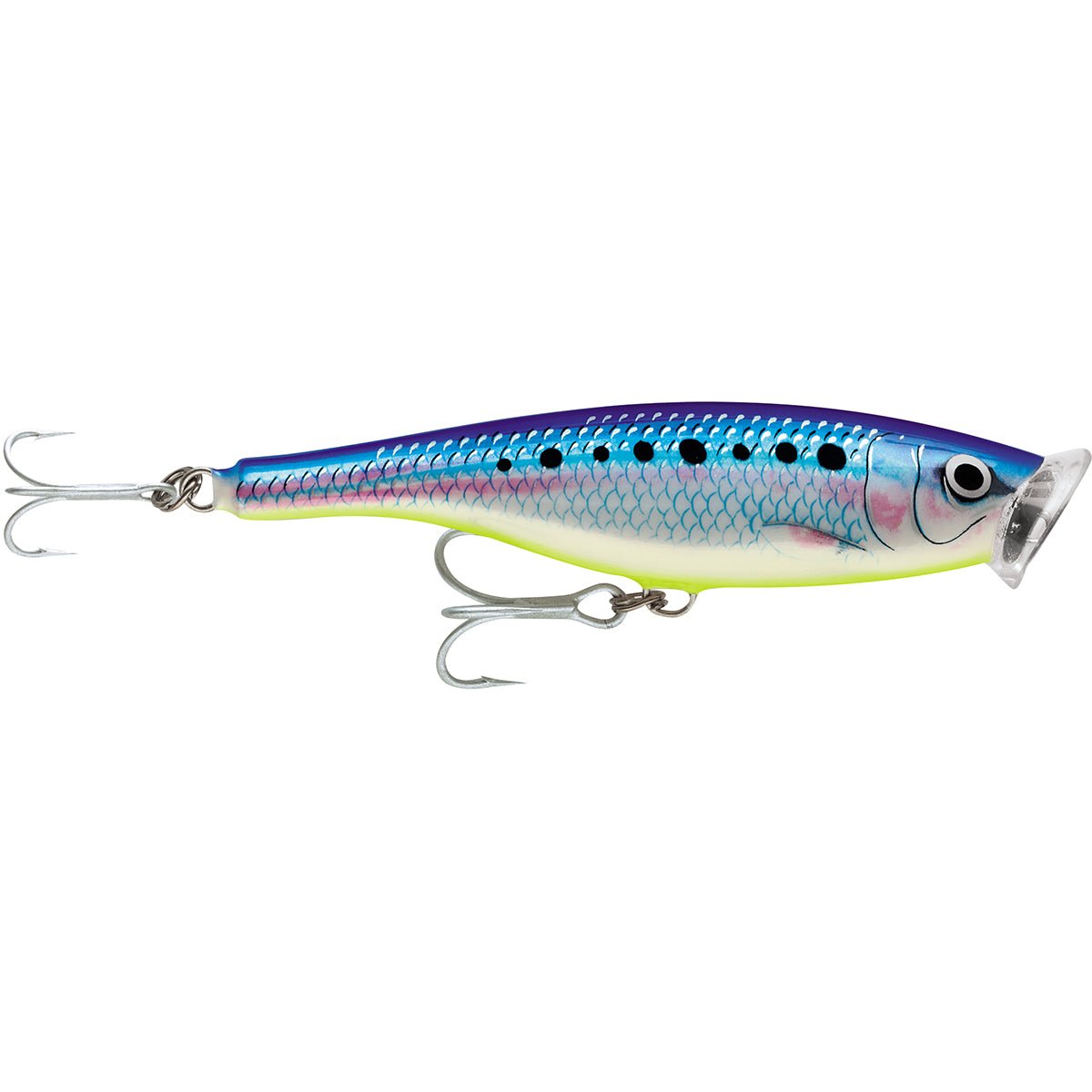 Rapala Skitter Pop Saltwater 12 Fishing Lure Rapala