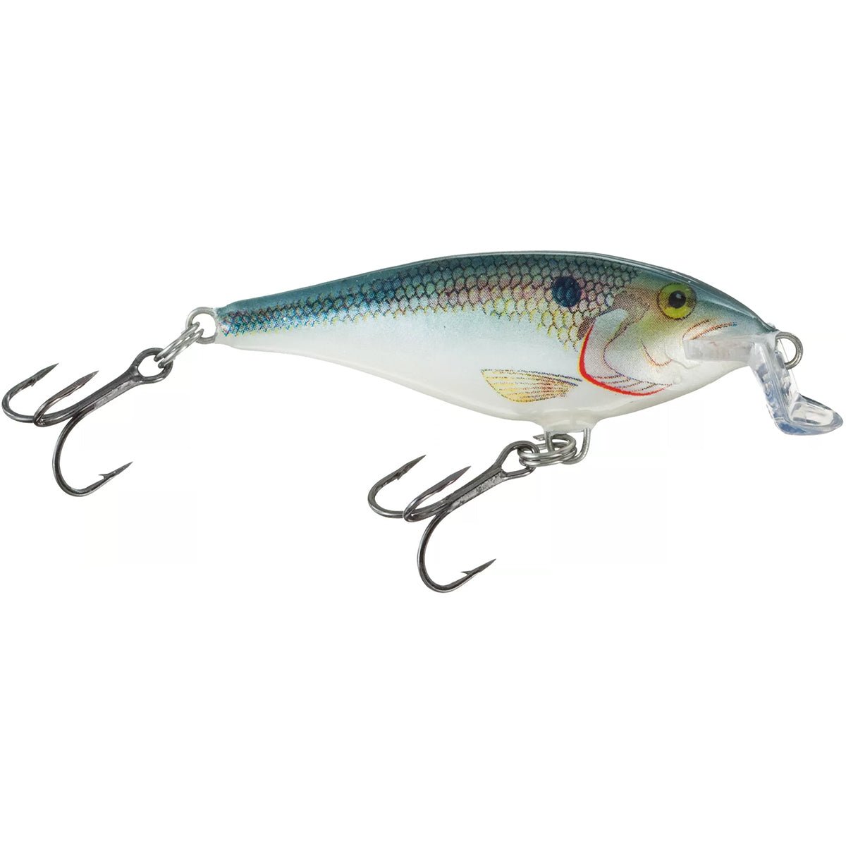 Rapala Shallow Shad Rap 05 Fishing Lure - Forza Sports