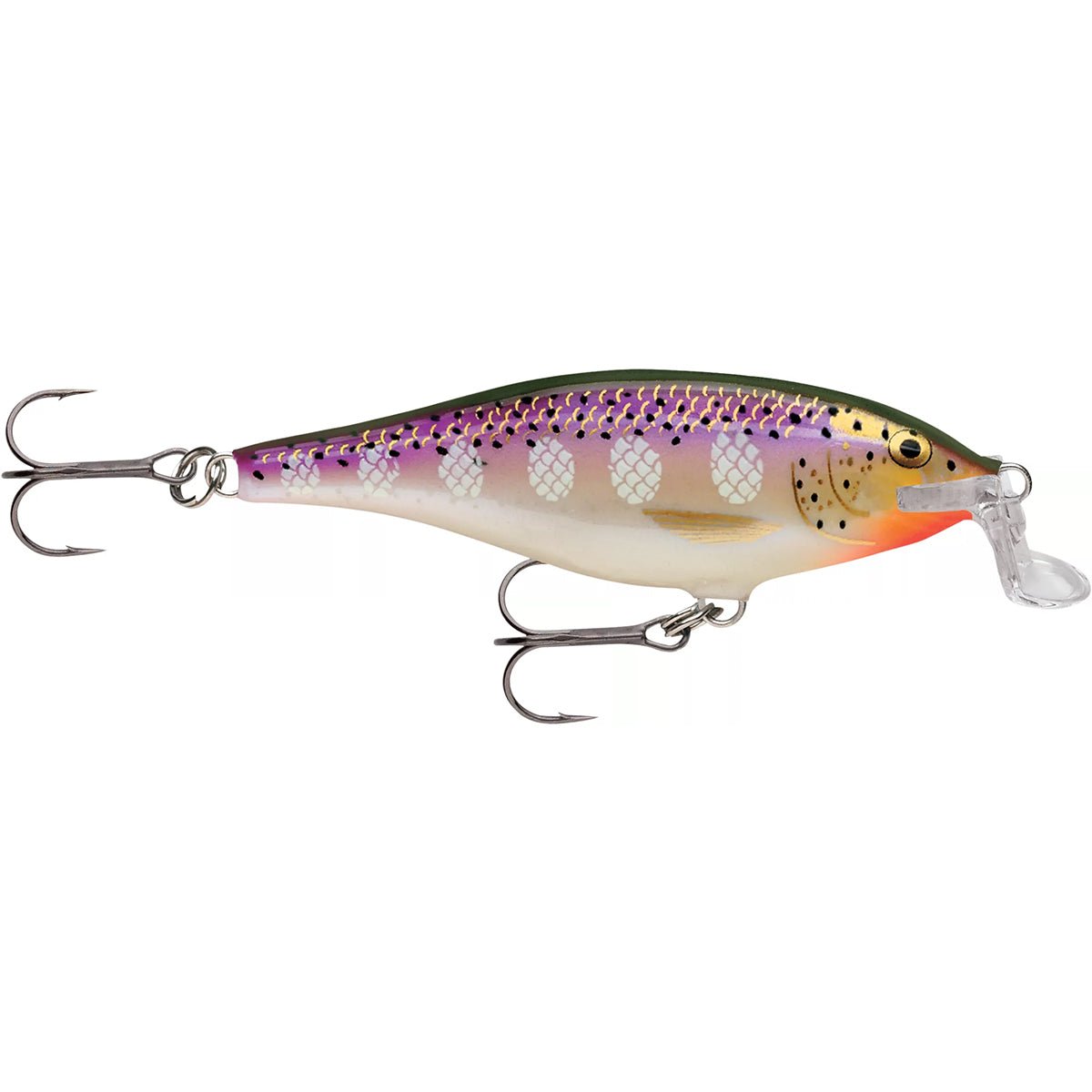 Rapala Shallow Shad Rap 07 Fishing Lure - Forza Sports