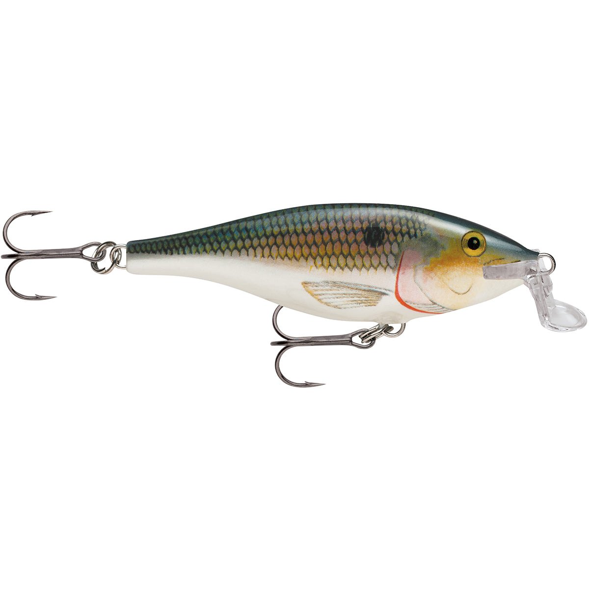 Rapala Shallow Shad Rap 07 Fishing Lure - Forza Sports