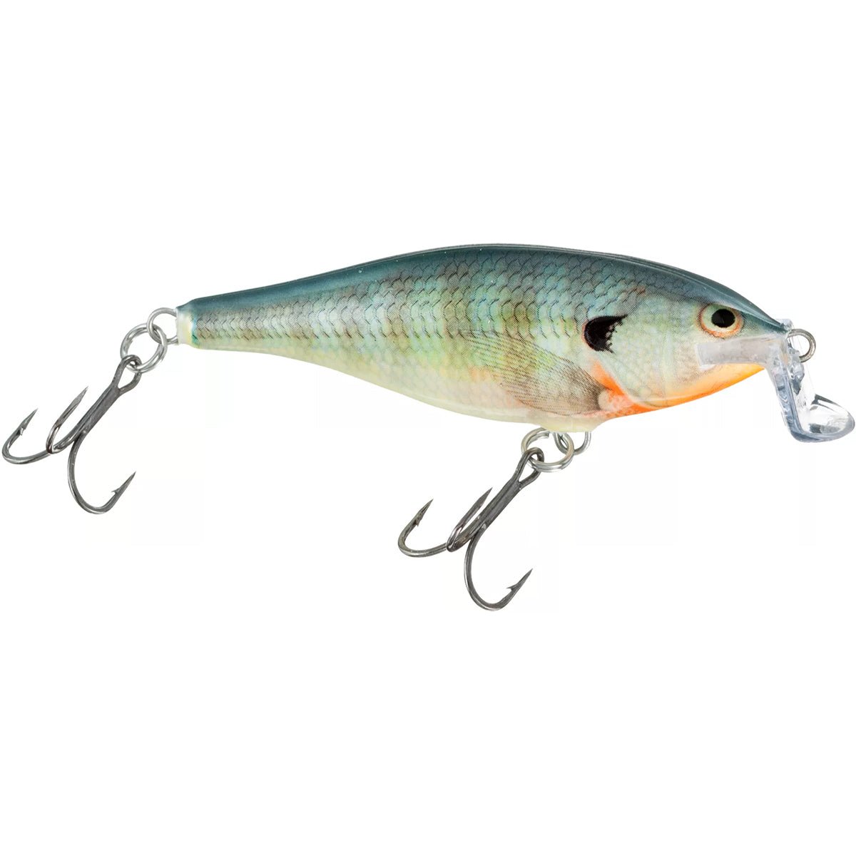 Rapala Shallow Shad Rap 05 Fishing Lure - Forza Sports