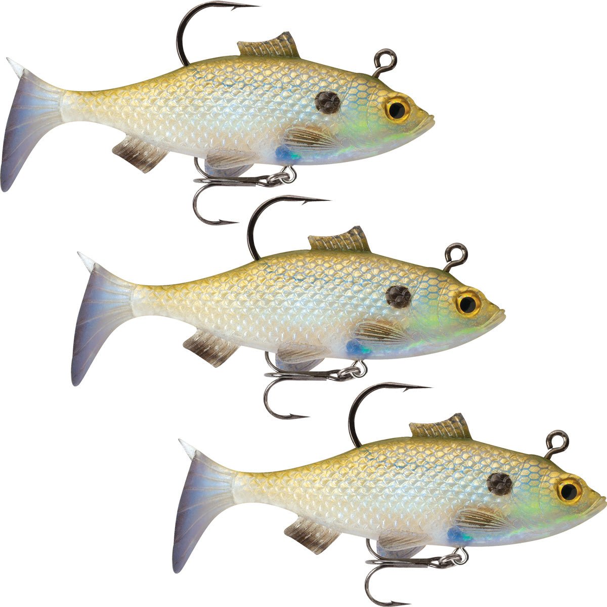 Storm WildEye Live Gizzard Shad 03 Fishing Lures (3 - Pack) - Forza Sports