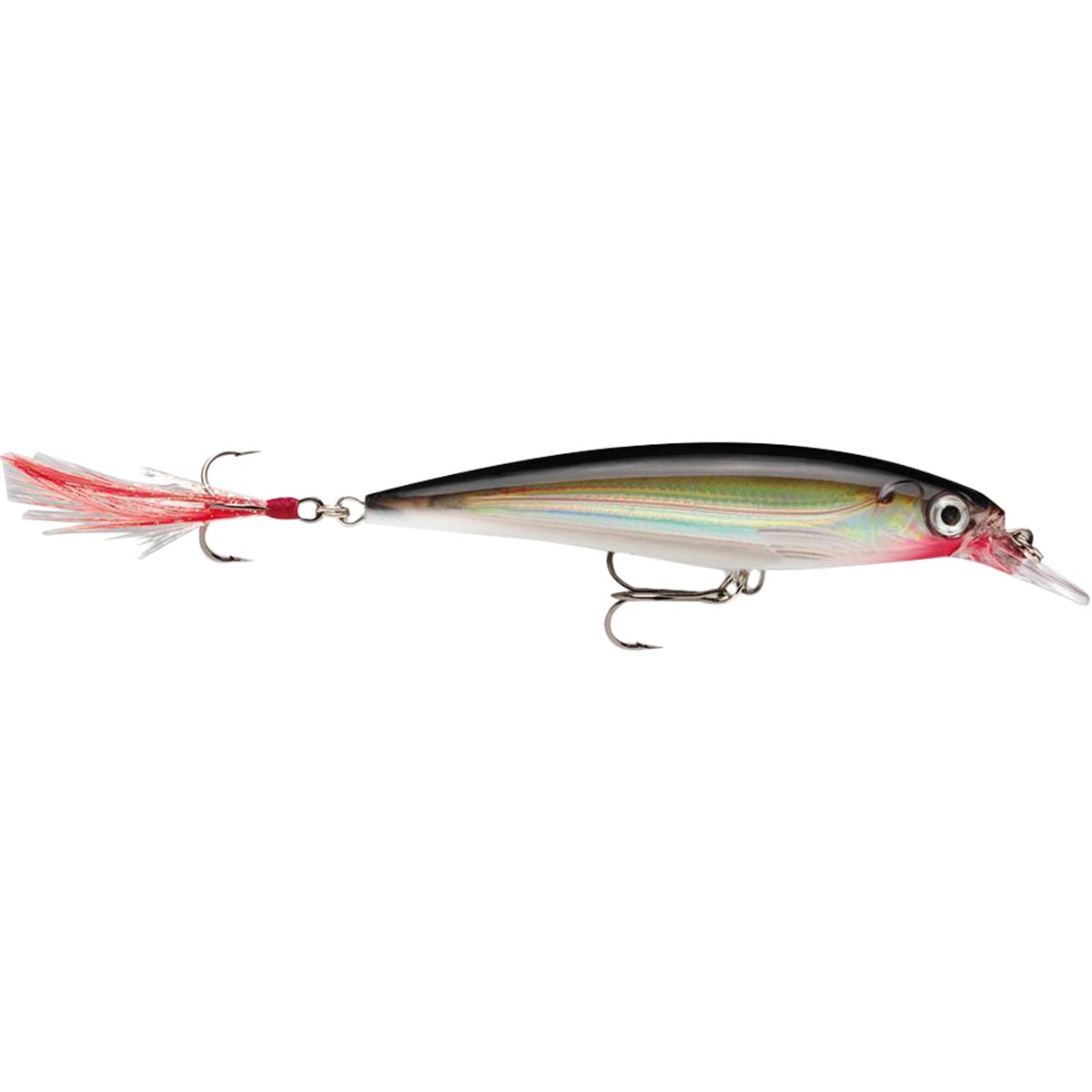 Rapala X - Rap 06 Fishing Lure - Forza Sports
