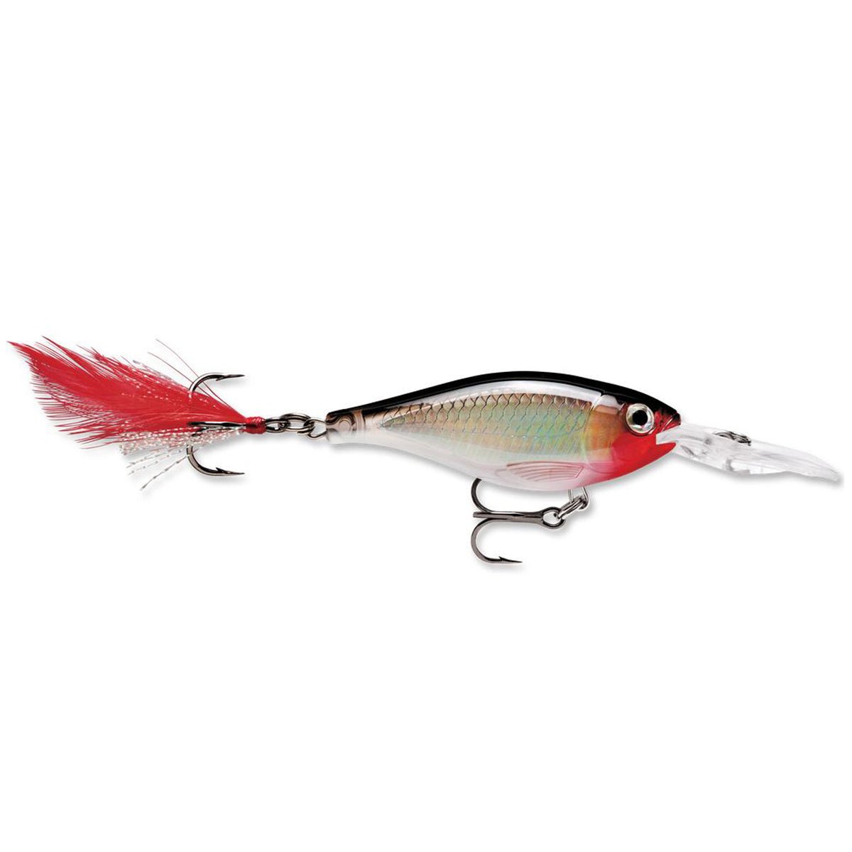 Rapala X - Rap Shad 06 Fishing Lure - Forza Sports