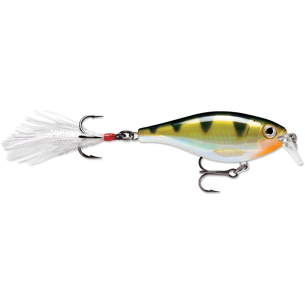 Rapala X - Rap Shad Shallow 06 Fishing Lure - Yellow Perch - Forza Sports