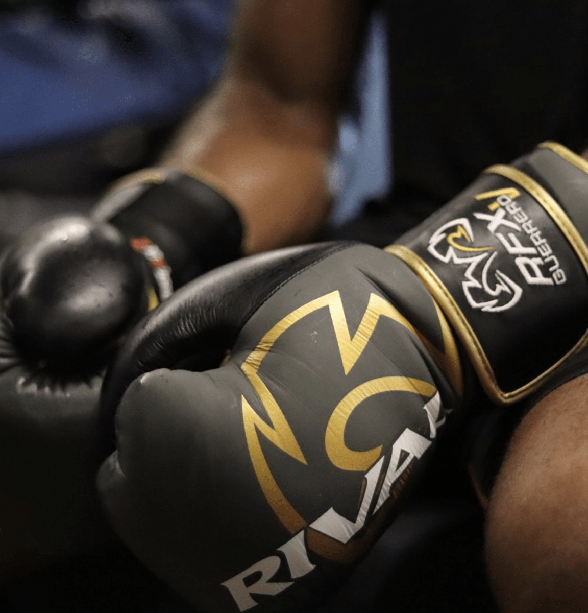 Rival Boxing RFX-Guerrero-V HDEF Hook and Loop Bag Gloves