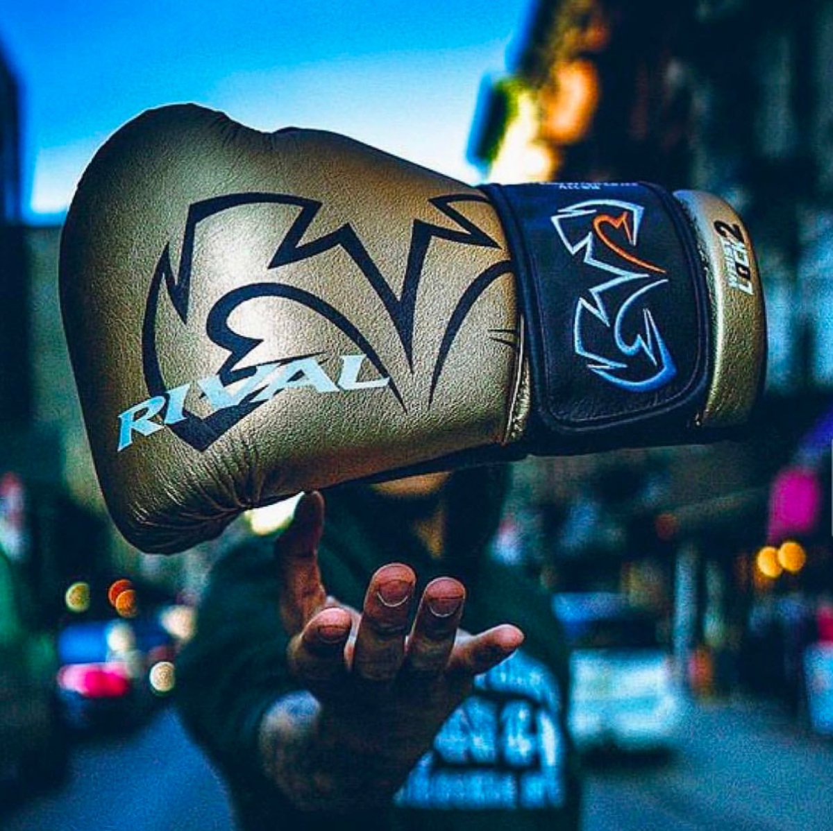 Rival Boxing RS11V Evolution Hook and Loop Sparring Gloves - Gold