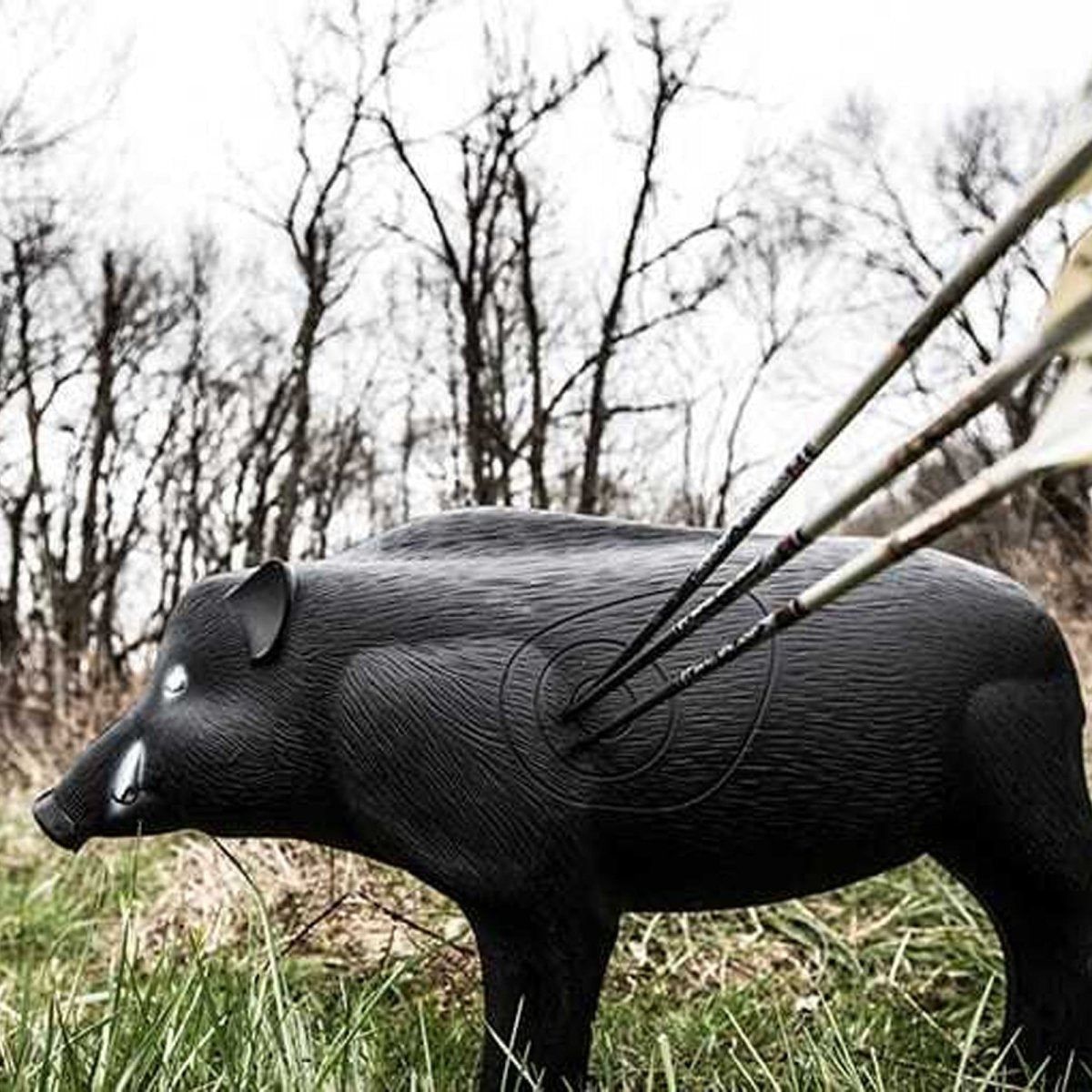 Shooter 3D Archery Target - Hog - Forza Sports