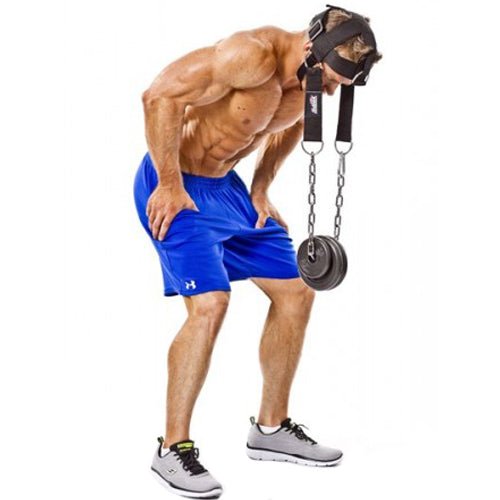 Schiek Sports Model 1500 - H Adjustable Head Harness - Black - Forza Sports