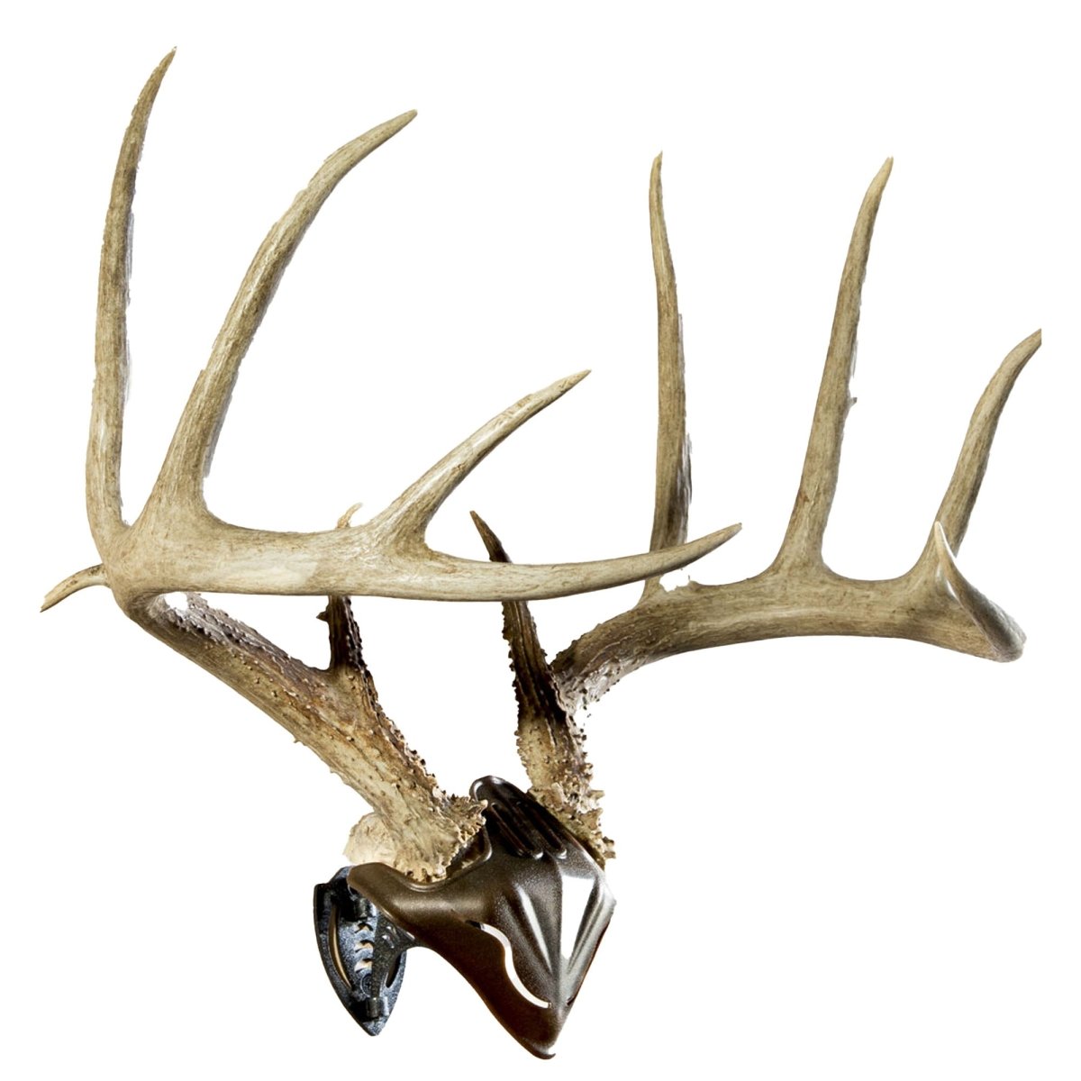 Skull Hooker - Bone Bracket Skull Cap Combo - Brown/Black - Forza Sports