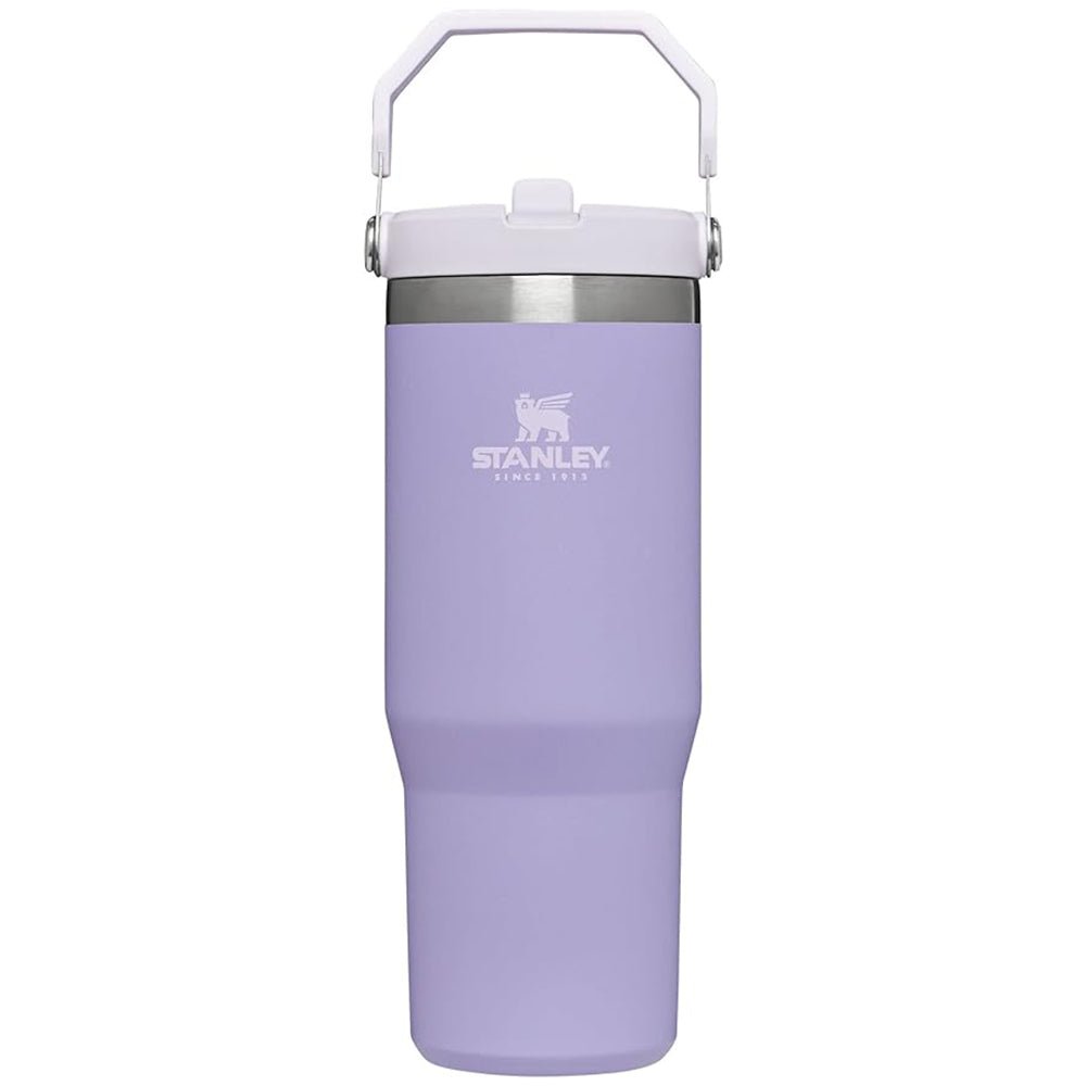 Stanley IceFlow Flip Straw Vacuum Insulated Stainless Steel Tumbler - Forza Sports
