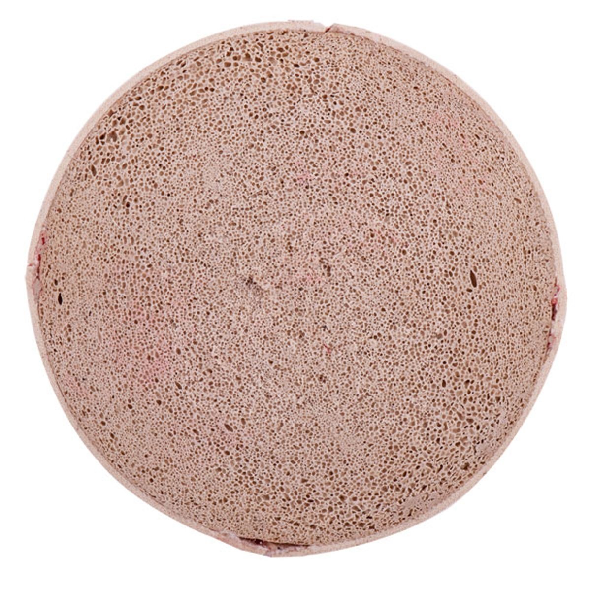 Champion Sports Indoor/Outdoor Tee Ball - Pack of 12 - Forza Sports