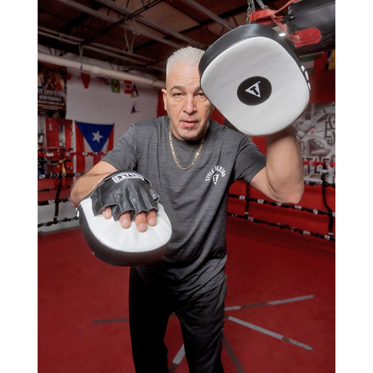 Title Boxing Cobra Leather Punch Mitts - Black/White - Forza Sports