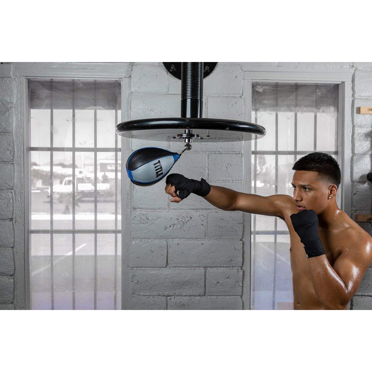 Title Boxing Platinum Perilous Speed Bag - Black/Silver - Forza Sports
