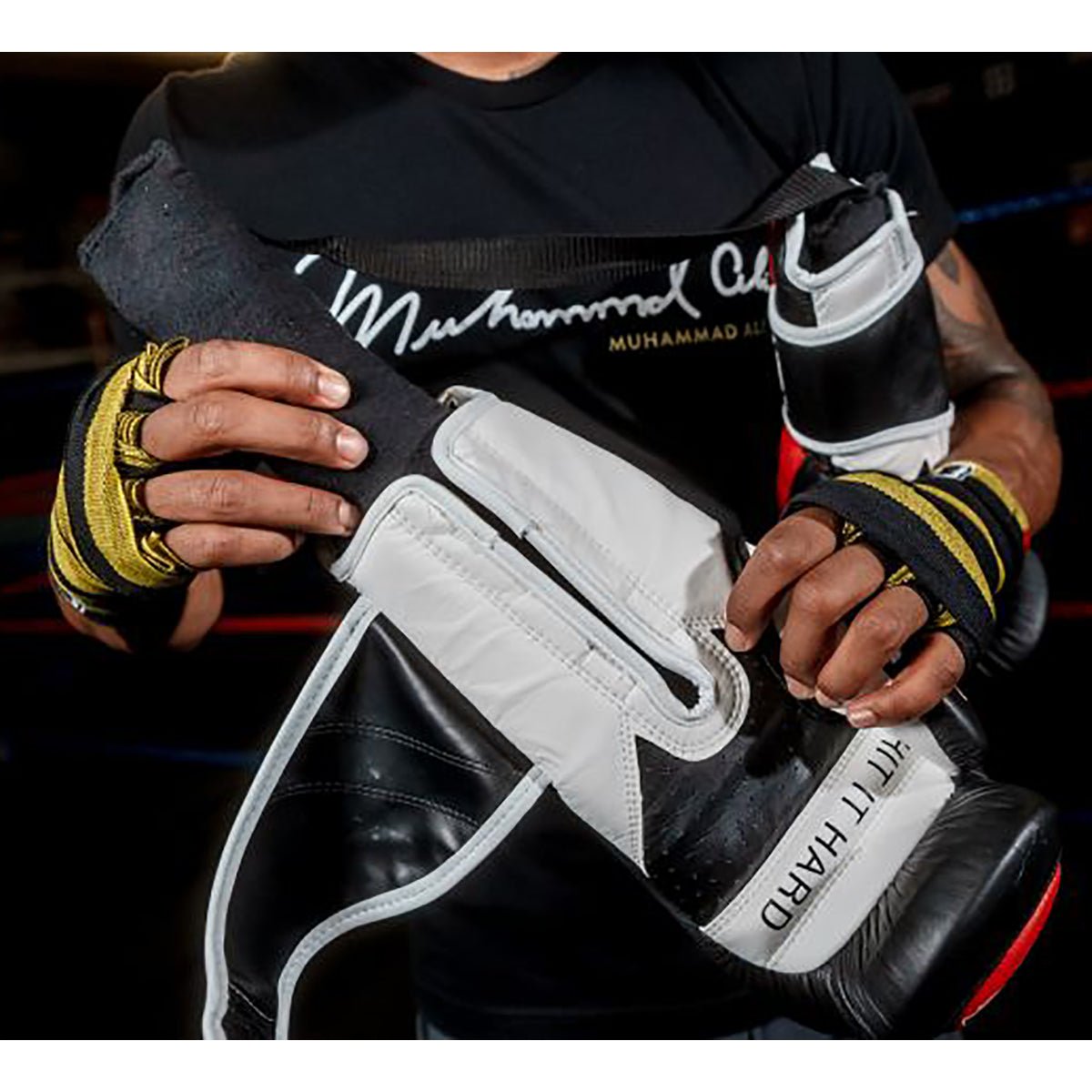 Title Boxing Glove Dry Devil 2.0 - Black