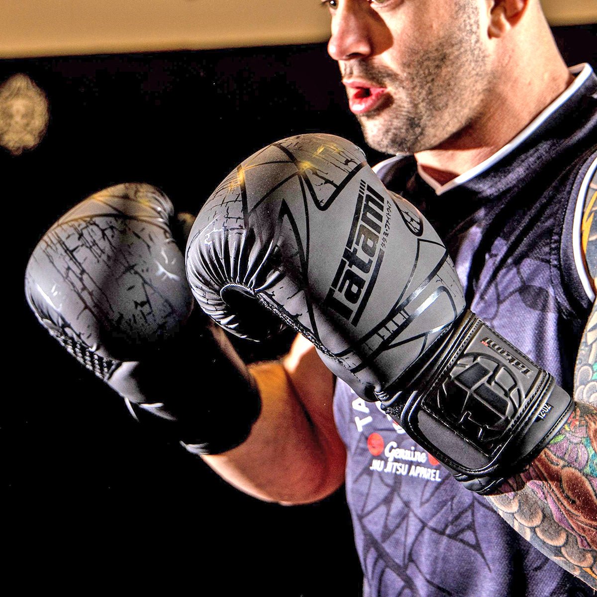 punching bag and gloves