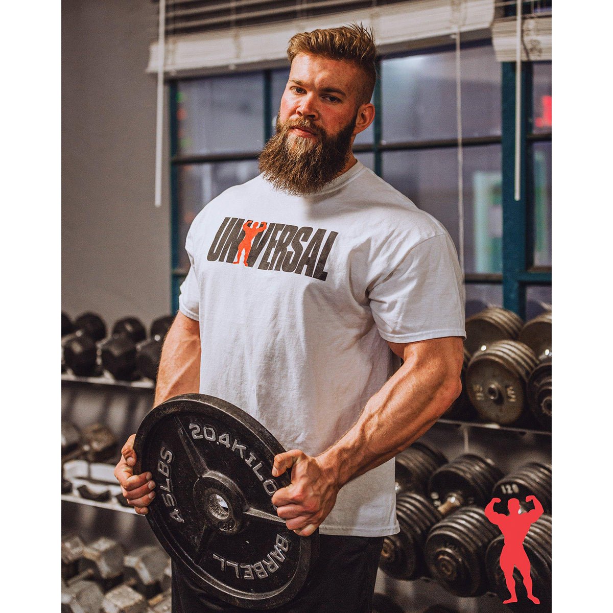 Universal Nutrition Animal Fury Powder, BCAAs & Energy Supplement - Forza Sports