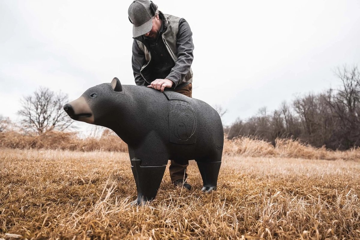 GlenDel - Forza Sports