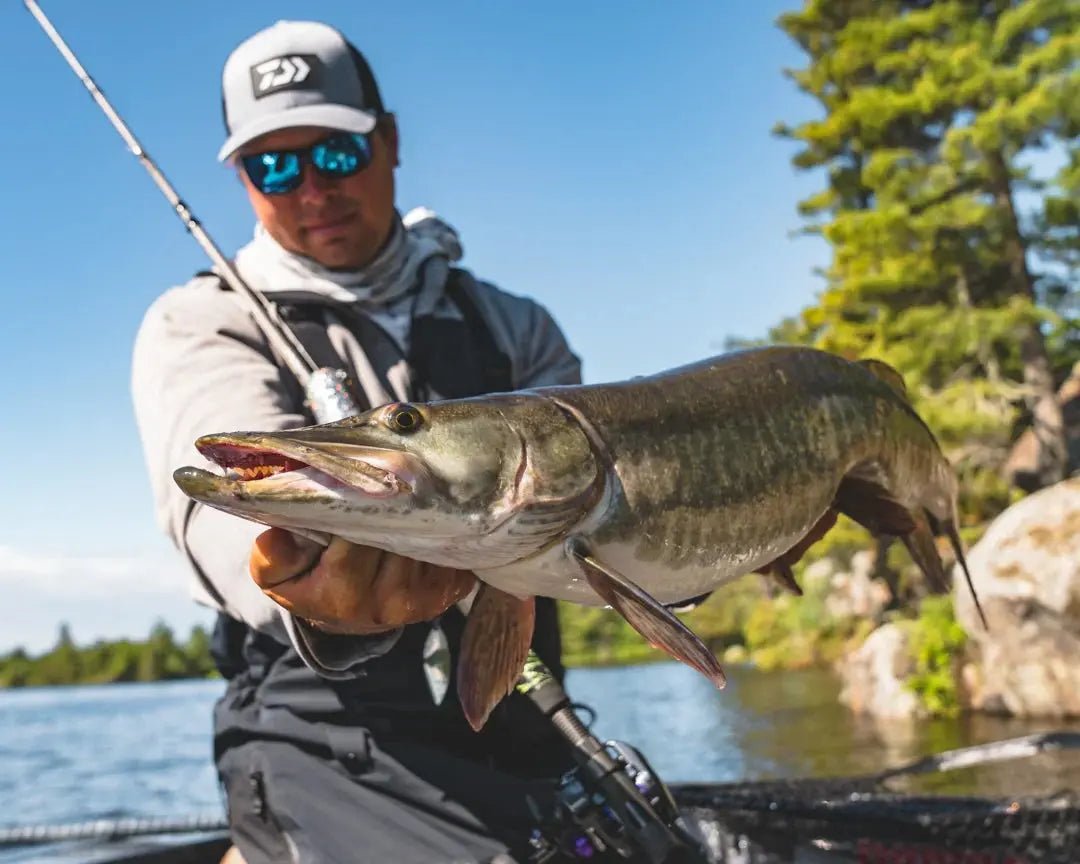 Line Counter Reels - Forza Sports