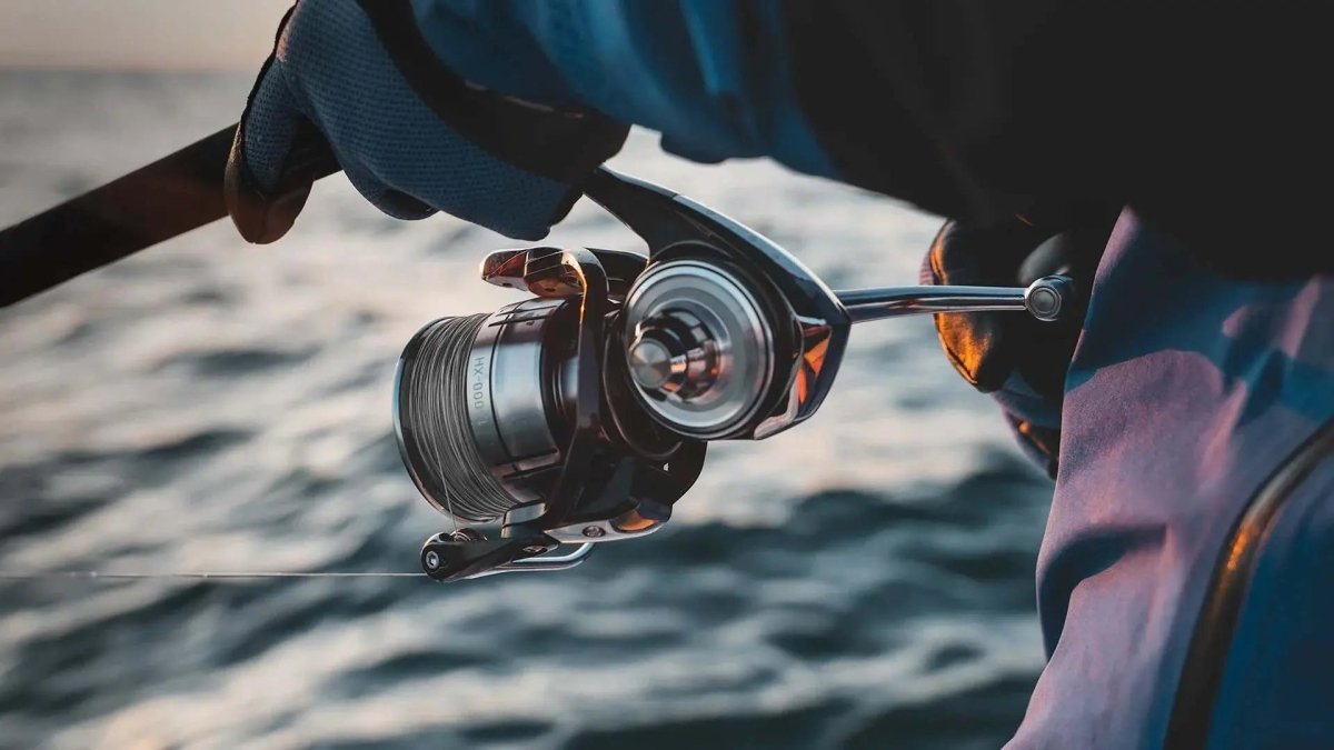 Spinning Reels - Forza Sports