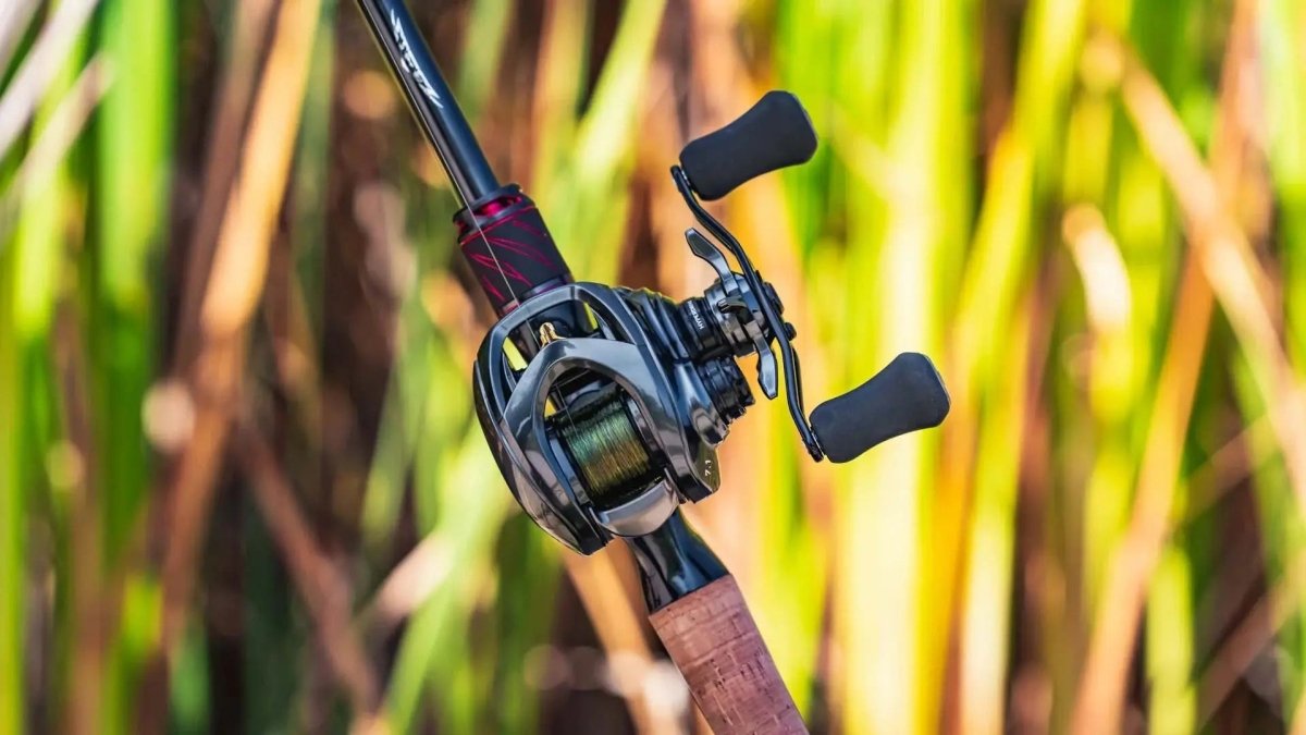 Baitcast Reels - Forza Sports