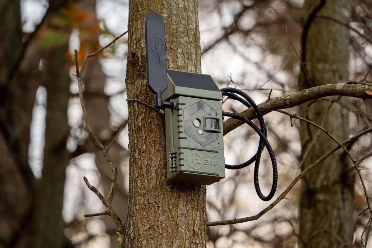 Covert Scouting Cameras - Forza Sports