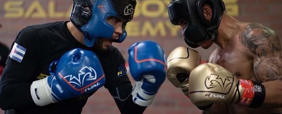 Boxing Training & Sparring Gloves - Forza Sports