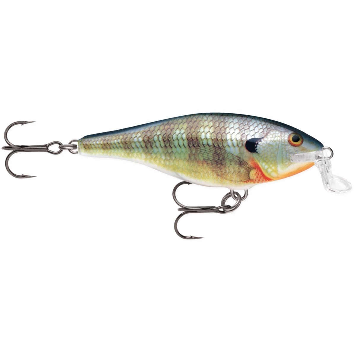 Rapala Shallow Shad Rap 07 Fishing Lure - Forza Sports