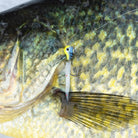 13 Fishing Madpole 31mm, Purple Rain - Forza Sports