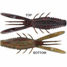 Rapala CrushCity Bronco Bug 4" Fishing Soft Bait - Forza Sports