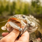 Crush City The Mayor 2.5" Rapala