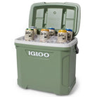 Igloo ECOCOOL Latitude 30 QT Cooler - Green Igloo