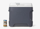 Igloo Versatemp 28 QT Portable Electric Cooler - Grey/White Igloo