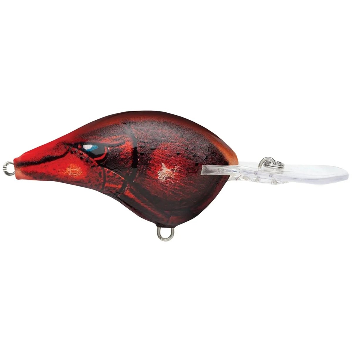 delta fishing lures Rapala DT 8 Crankbait Delta