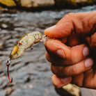 Rebel Deep Teeny Wee Crawfish 1/9 oz Fishing Lure - Chartreuse/Green Back Rebel