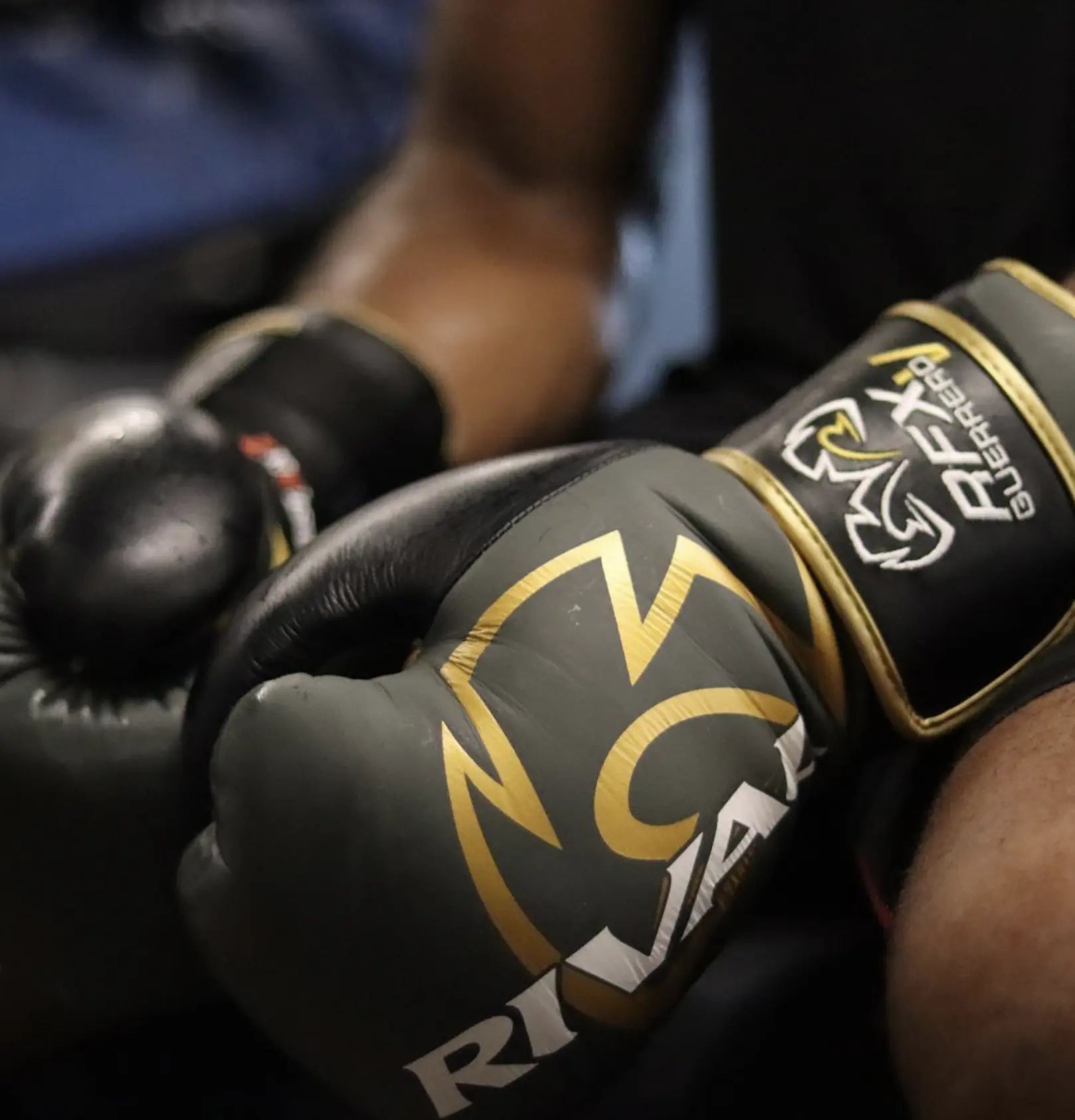Rival Boxing RFX-Guerrero-V HDE-F Hook and Loop Bag Gloves RIVAL