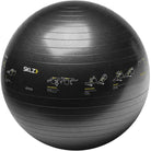 SKLZ Exercise Trainer Ball - Black SKLZ
