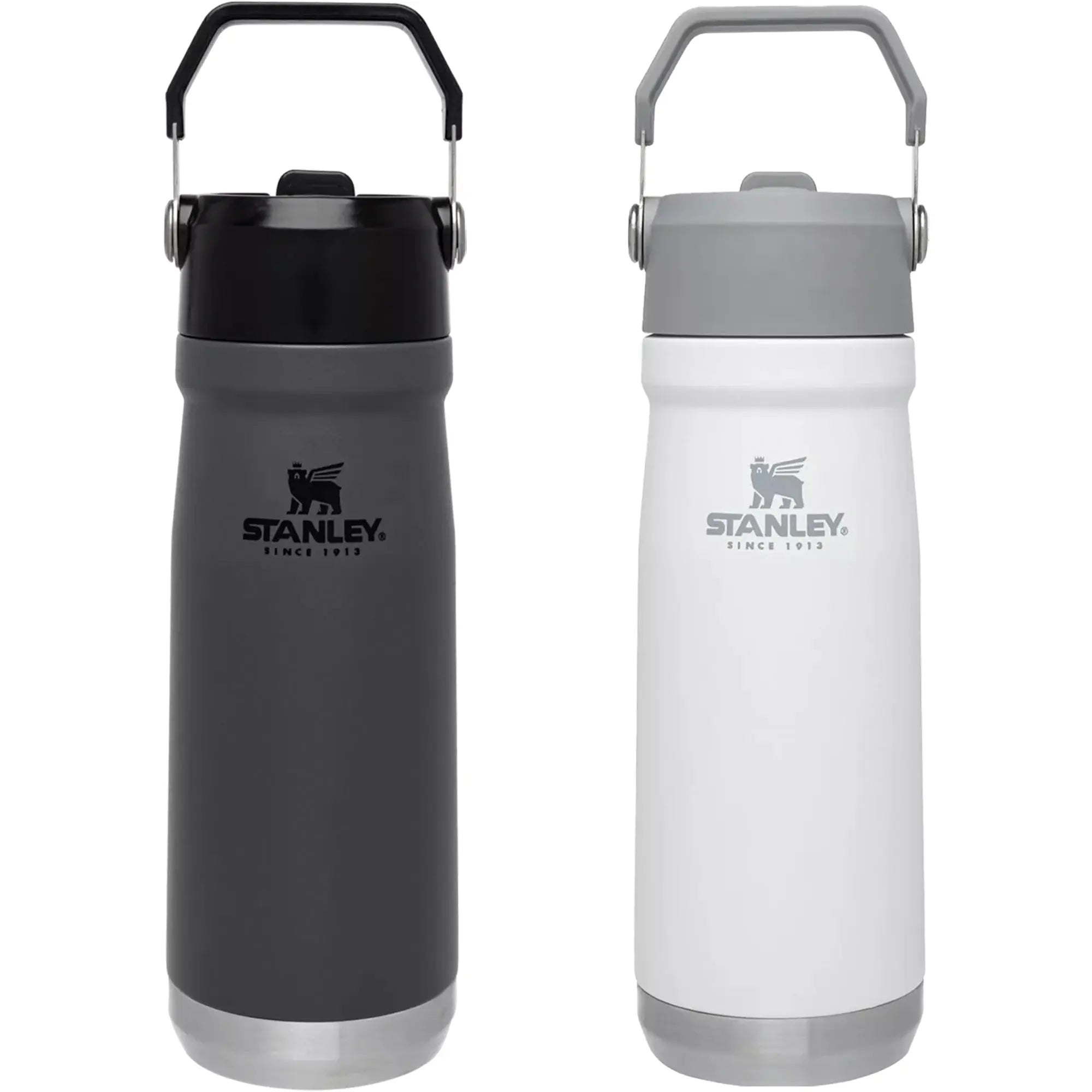 Stanley 22 oz. IceFlow Flip Straw Water Bottle Stanley