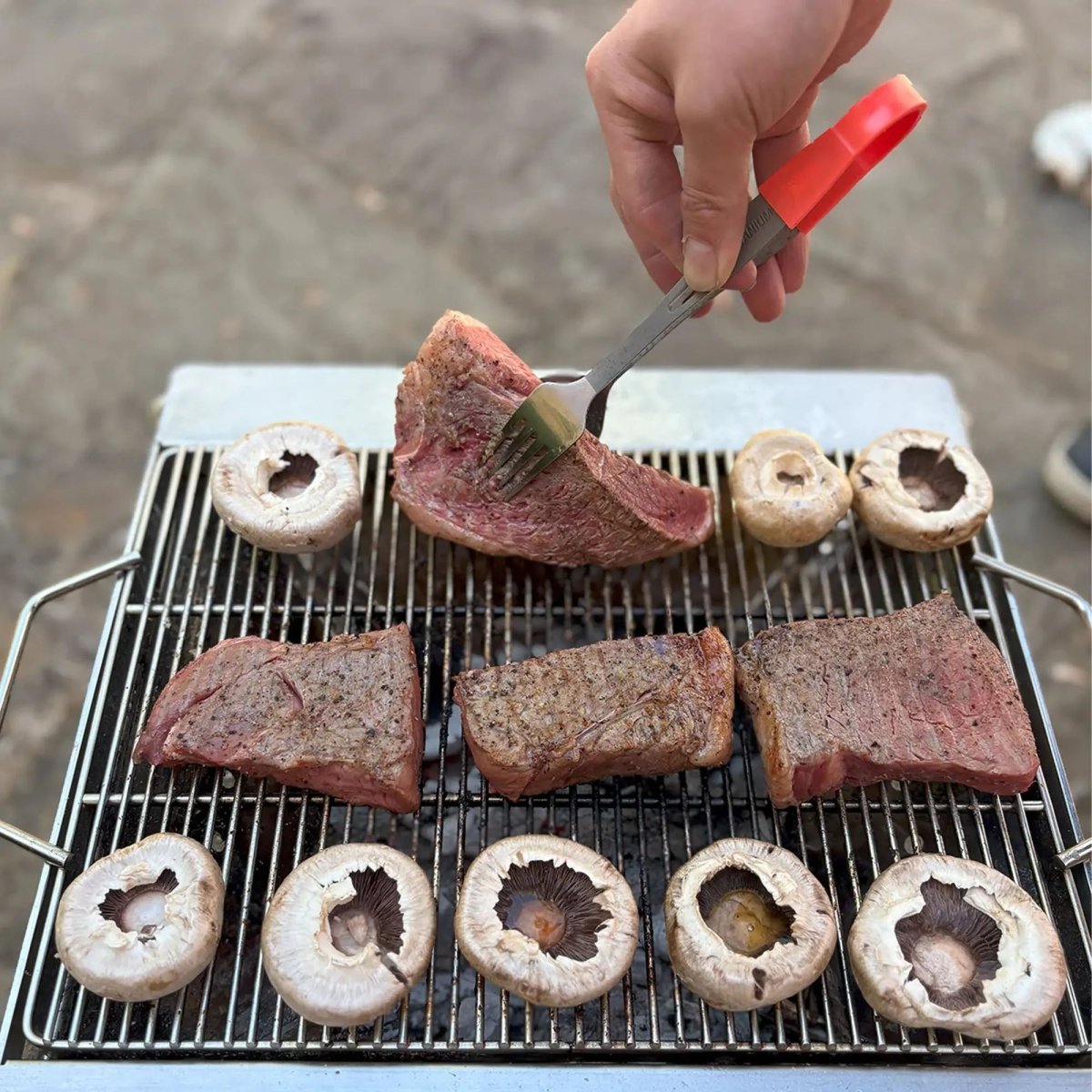 TOAKS - Portable Grill - Fireplace Grill Attachment TOAKS