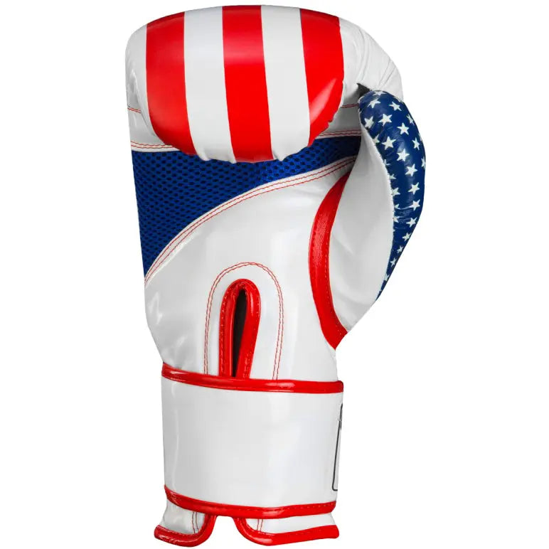 Title Boxing Infused Foam Combat USA Hook and Loop Training Gloves Title Boxing