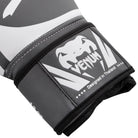 Venum Challenger 2.0 Hook and Loop Training Boxing Gloves Venum