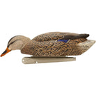 Avian X Topflight Mallards Backwater Pack of 6 Floating Decoys - Forza Sports