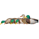 Avian X AXP Full Body Mallards Fusion Pack of 6 Decoys Includes Slot Bag and Field Stakes - Forza Sports