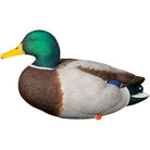 Avian X AXP Full Body Mallards Fusion Pack of 6 Decoys Includes Slot Bag and Field Stakes - Forza Sports