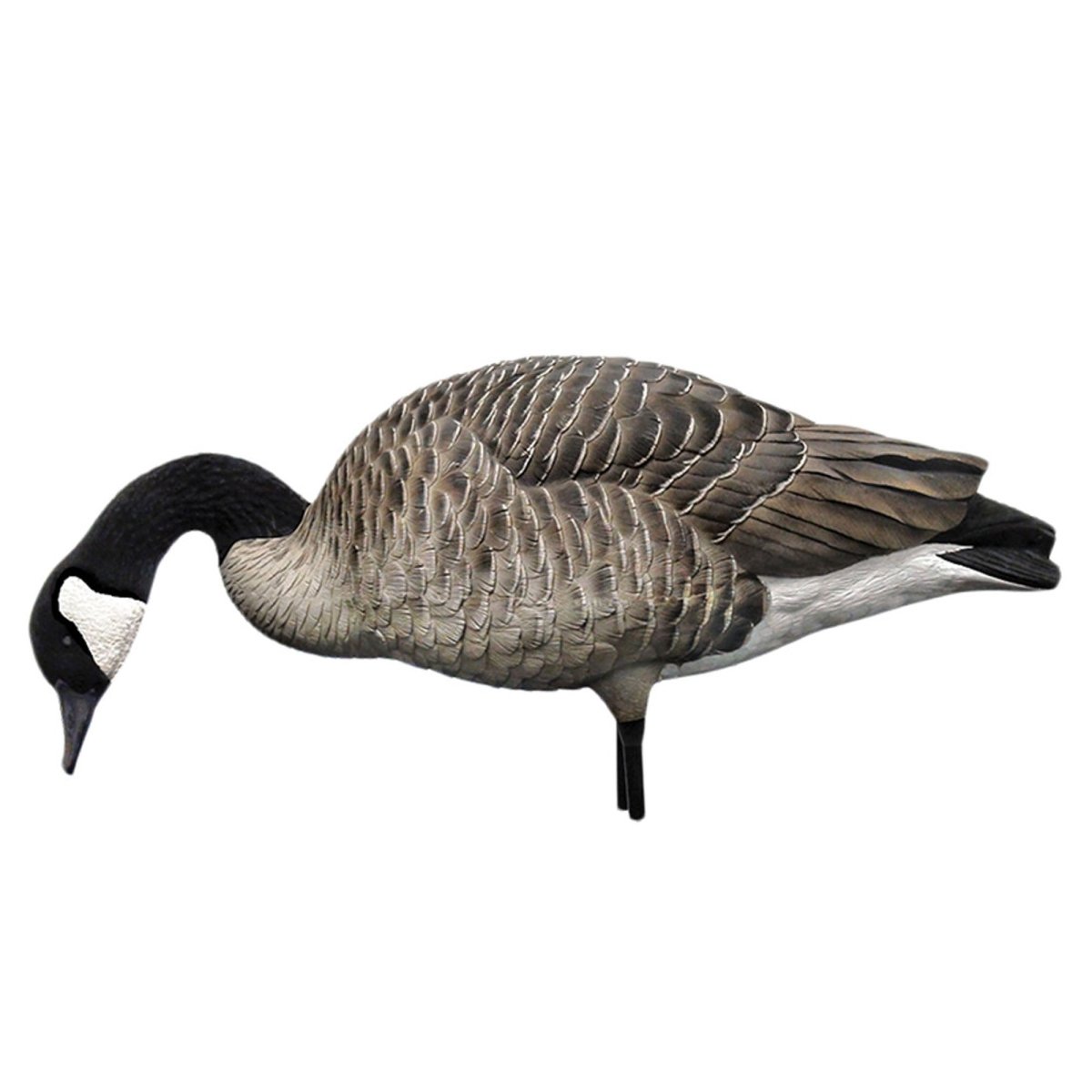 Avian X AXP Honkers: Fusion Pack of 6 Decoys - Forza Sports
