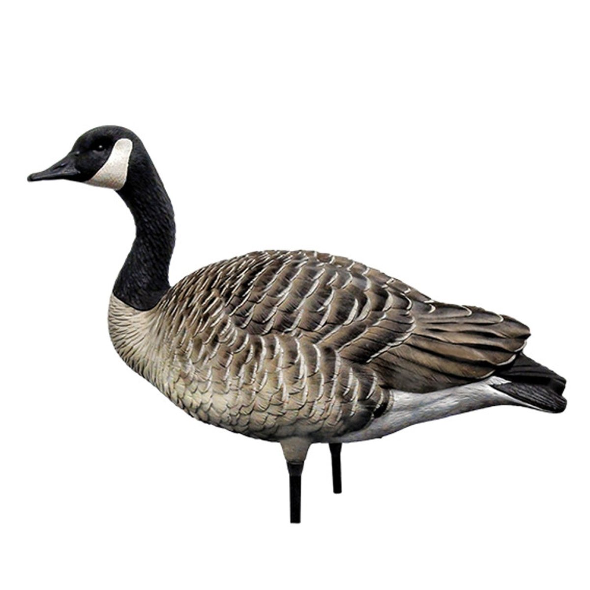 Avian X AXP Honkers: Fusion Pack of 6 Decoys - Forza Sports